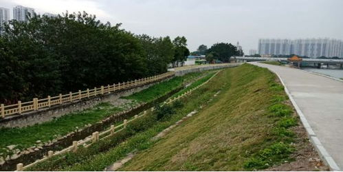 治水攻堅戰｜新華街水環境治理進行時，12月13日戰報及環境檢測服務動態